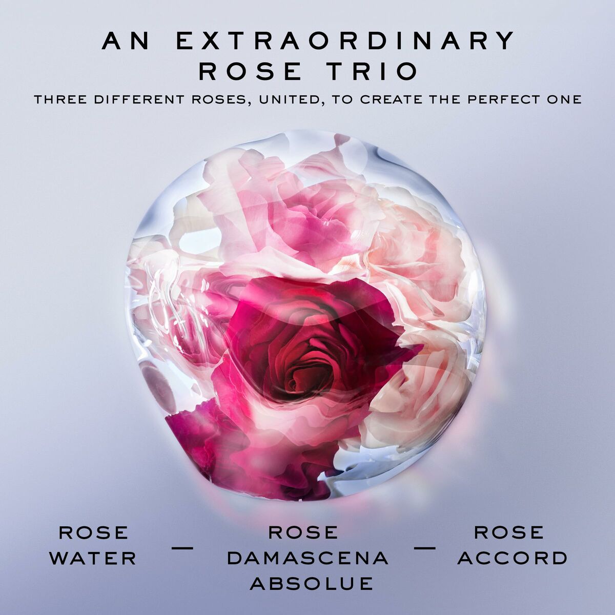 Lancôme Parfum Femme Lancôme La Vie Est Belle Rose Extraordinaire Edp Edp 50 Ml